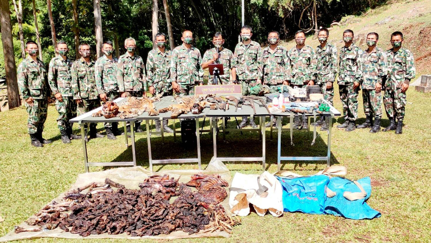 ชำแหละ ซากเสือโคร่ง