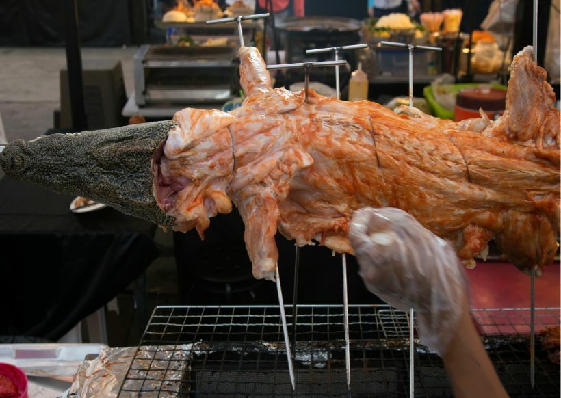 ไขคำตอบ เนื้อจระเข้ รสชาติเป็นไง