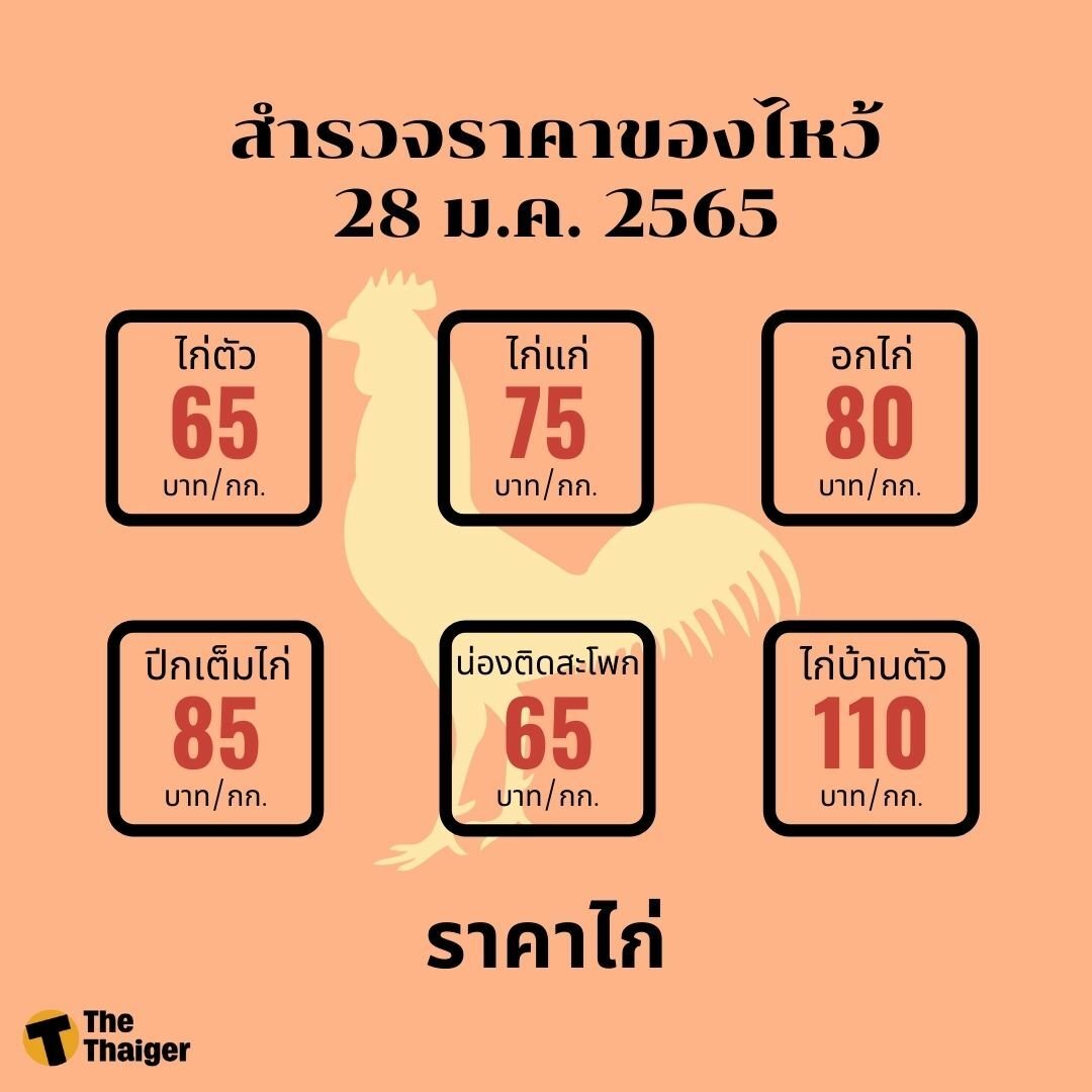 ราคาไก่ 28 ม.ค.
