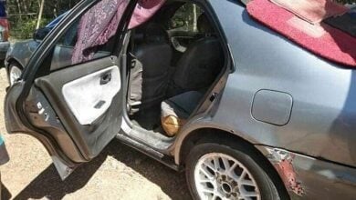 น้องสายฟ้า