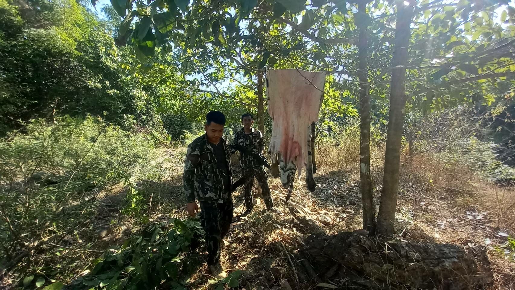 ทองผาภูมิ