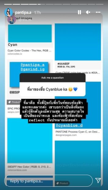 ปุ้มปุ้ย พรรณทิพา
