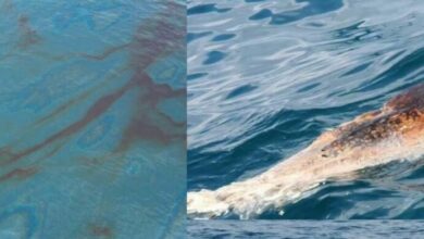 หาดแม่รำพึง