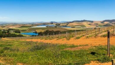 ภาษีที่ดิน