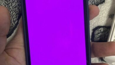 Pink Screen iPhone 13