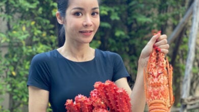 นุ๊ก สุทธิดา