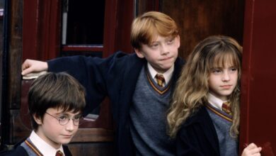 แฮร์รี่ พอตเตอร์ (Harry Potter)