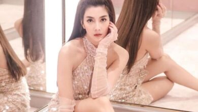 วุ้นเส้น วิริฒิพา