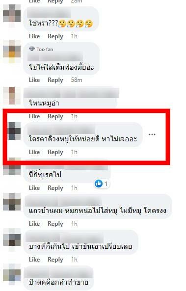 หมูแพง ข้าวผัด