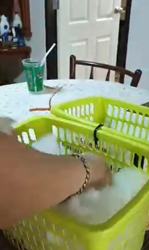 ซื้อต้นไม้