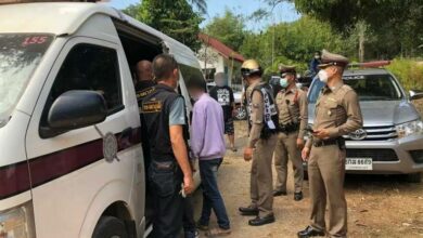 พรานป่า เสือโคร่ง