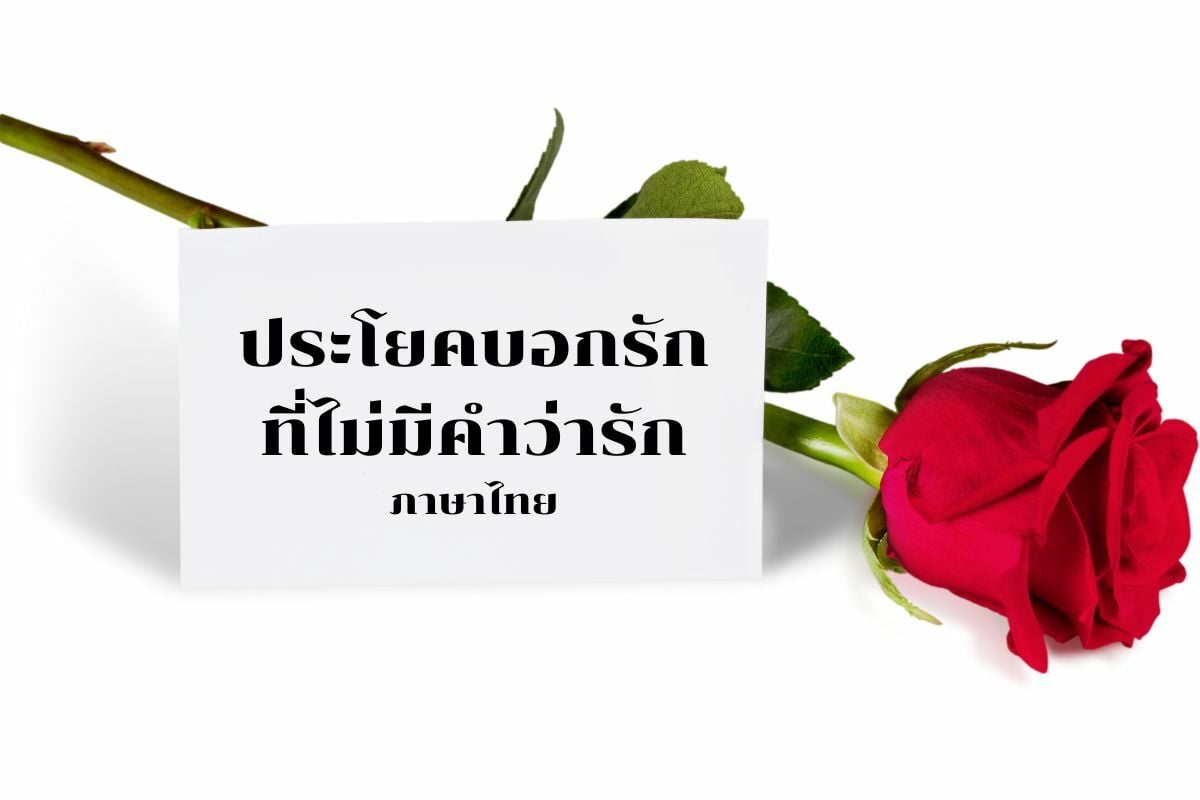 มัดรวม ประโยคบอกรักที่ไม่มีคำว่ารัก ทั้งไทยและอังกฤษ สำหรับคนขี้เขิน 2022 |  Thaiger ข่าวไทย