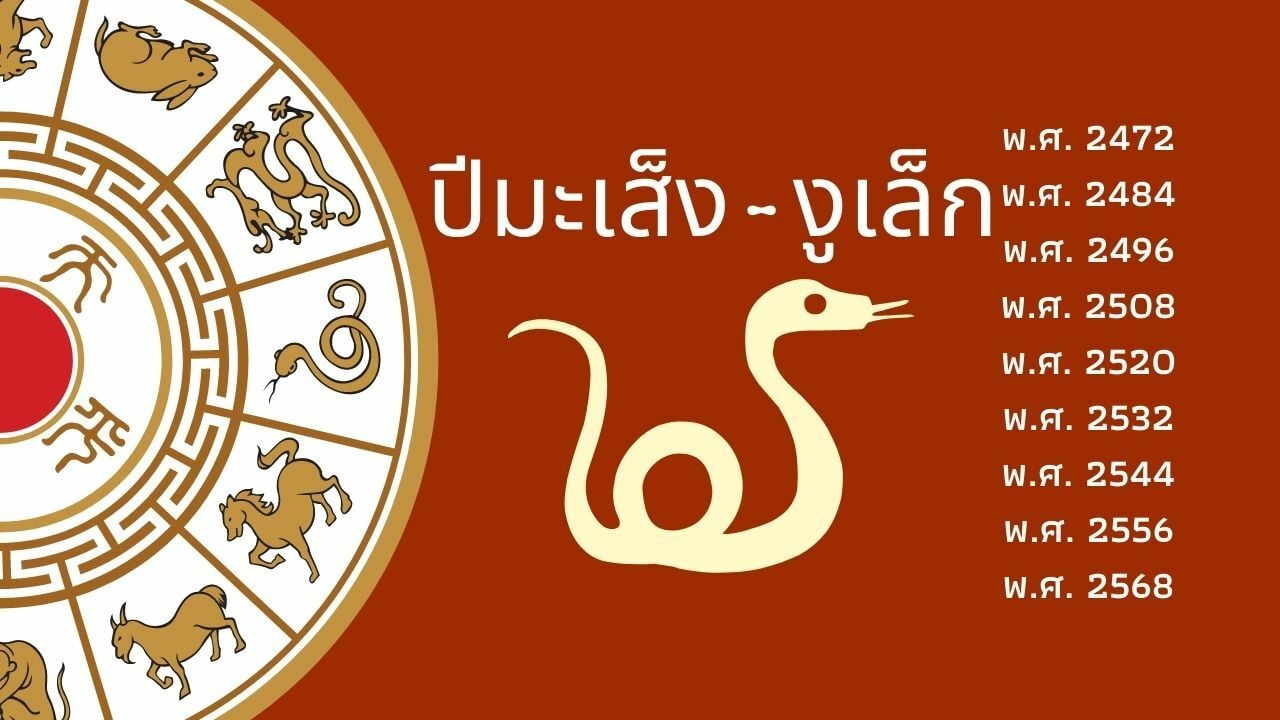 ดวงปีเสือ 2565 มะเส็ง