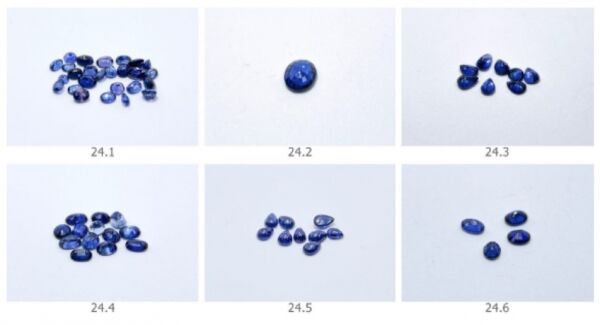 ปปง ขายทอดตลาด เพชร พลอย