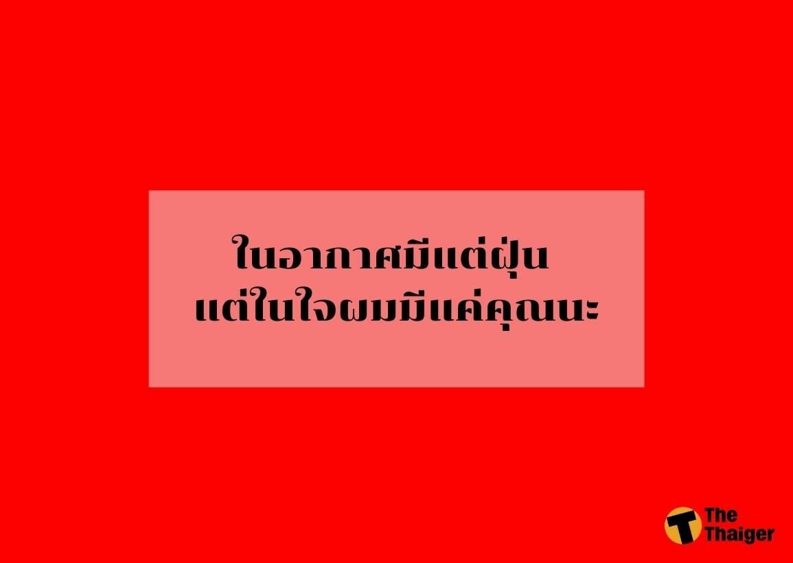 รวม 150 คำคม แคปชั่น วันอาทิตย์ 2022 โดน ๆ กวน ๆ โพสต์โซเชียลเก๋ ๆ |  Thaiger ข่าวไทย