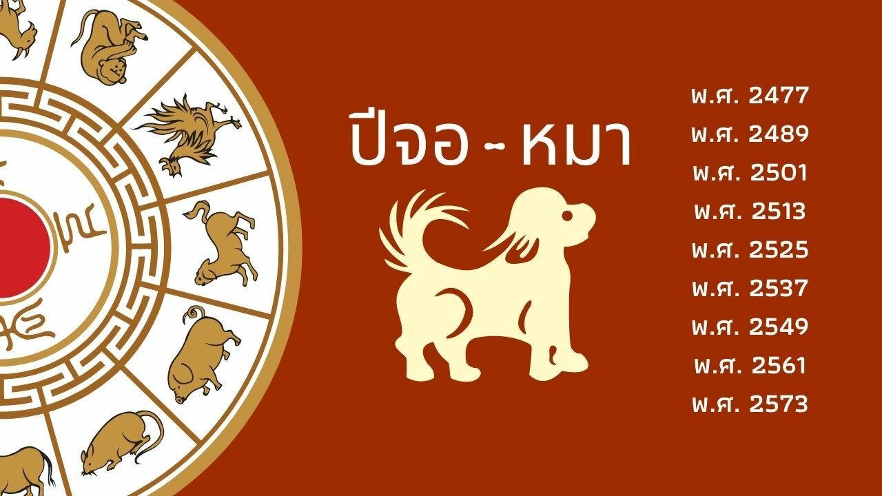 ดวงปีเสือ 2565 จอ