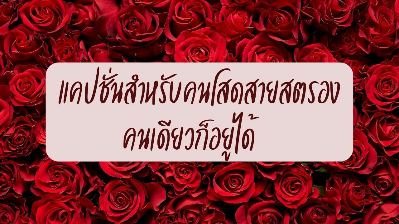 49 แคปชั่นวาเลนไทน์ 2022 คนเดียว