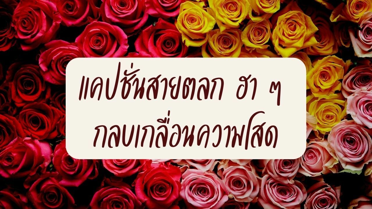 49 แคปชั่นวาเลนไทน์ 2022 ตลก