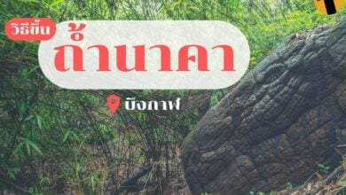 วิธีขึ้นถ้ำนาคา บึงกาฬ
