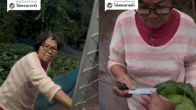 ลูกไม่กลับบ้าน 4 ปี หลอกแม่มาซื้อผัก