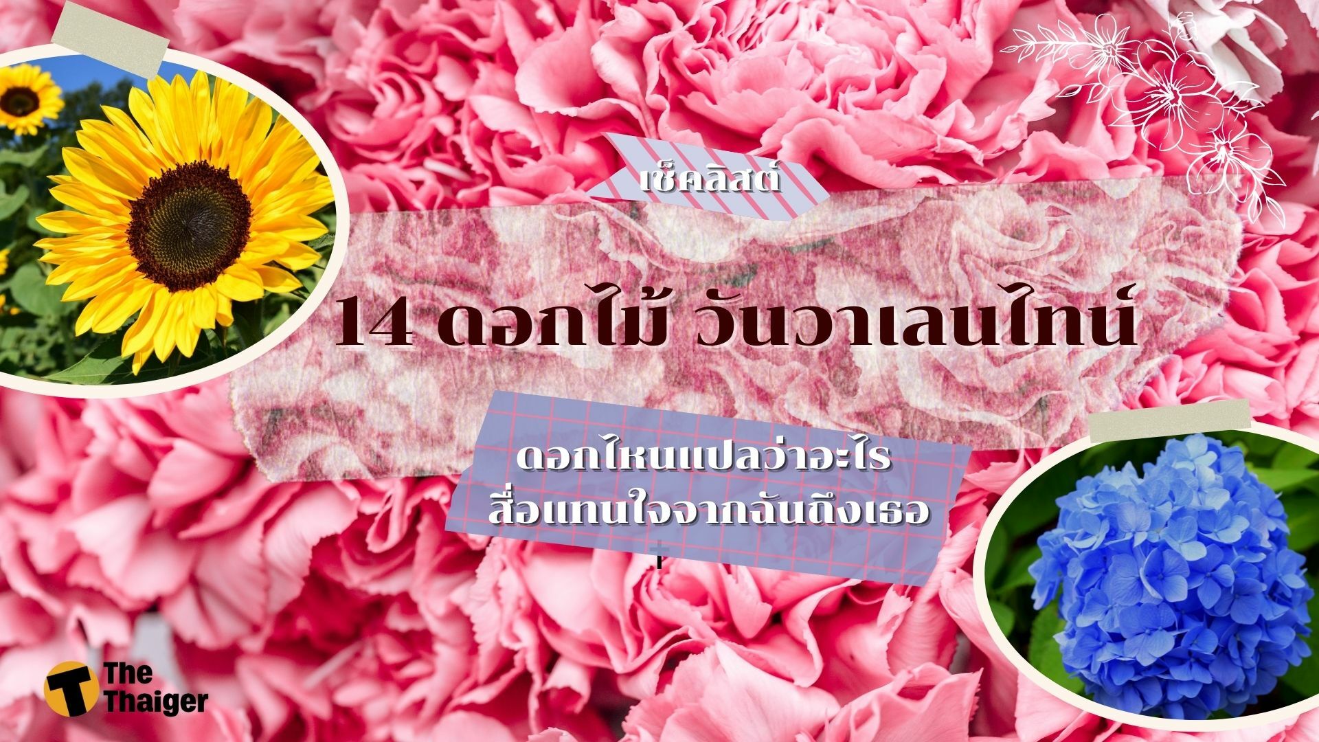 รวม 14 ดอกไม้วันวาเลนไทน์ มีความหมาย คำอวยพร อะไรซ่อนอยู่ | Thaiger ข่าวไทย