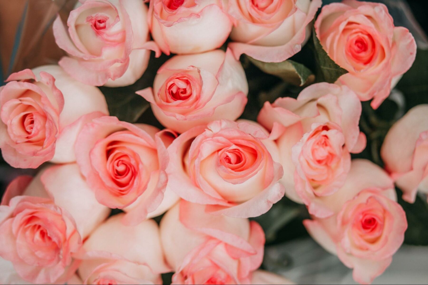 คำศัพท์เกี่ยวกับวันวาเลนไทน์