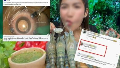 กินกุ้งแม่น้ำดิบ กุ้งแช่น้ำปลา พยาธิปอดหนู