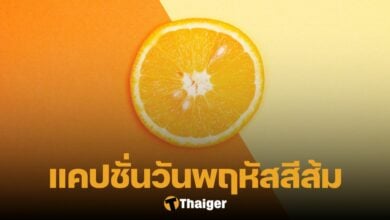 คำคม แคปชั่น วันพฤหัสบดี 2566