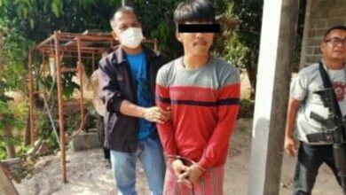 ฆ่ายัดกล่องสาว 18