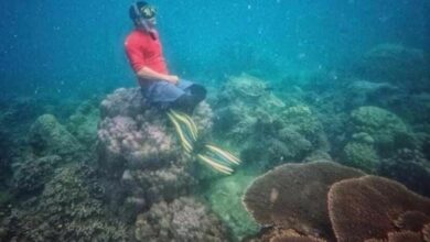 แจ้งจับนักท่องเที่ยว นั่งทับปะการังโขด