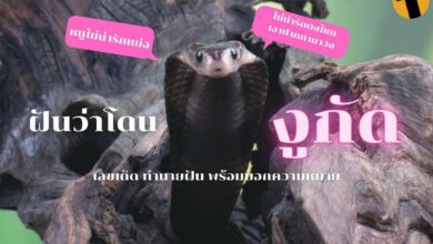 ฝันว่าโดนงูกัด ทำนายฝัน