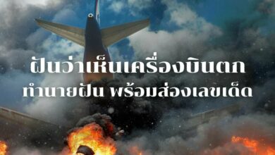 ฝันเห็นเครื่องบินตก