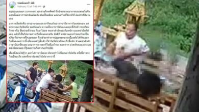 วาซาบิขึ้นสมอง