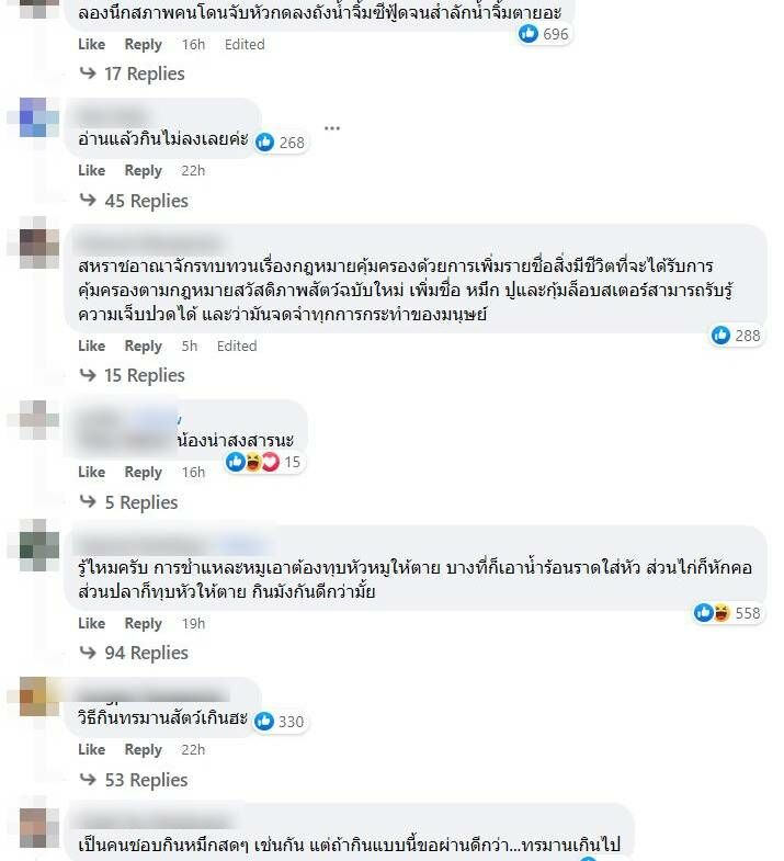 หมึกช๊อต หมึกซาซิมิ