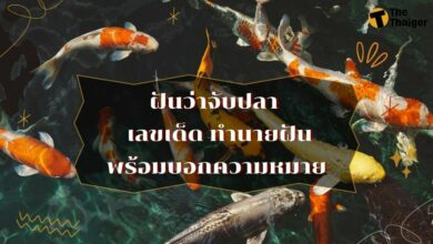 ฝันว่าจับปลา