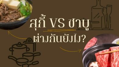 สุกี้ กับ ชาบู ต่างกันอย่างไร