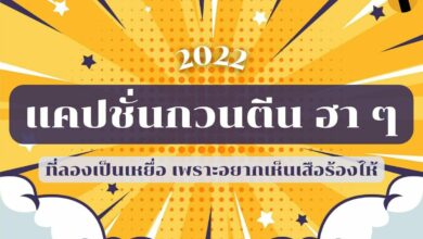 แคปชั่นกวนตีน