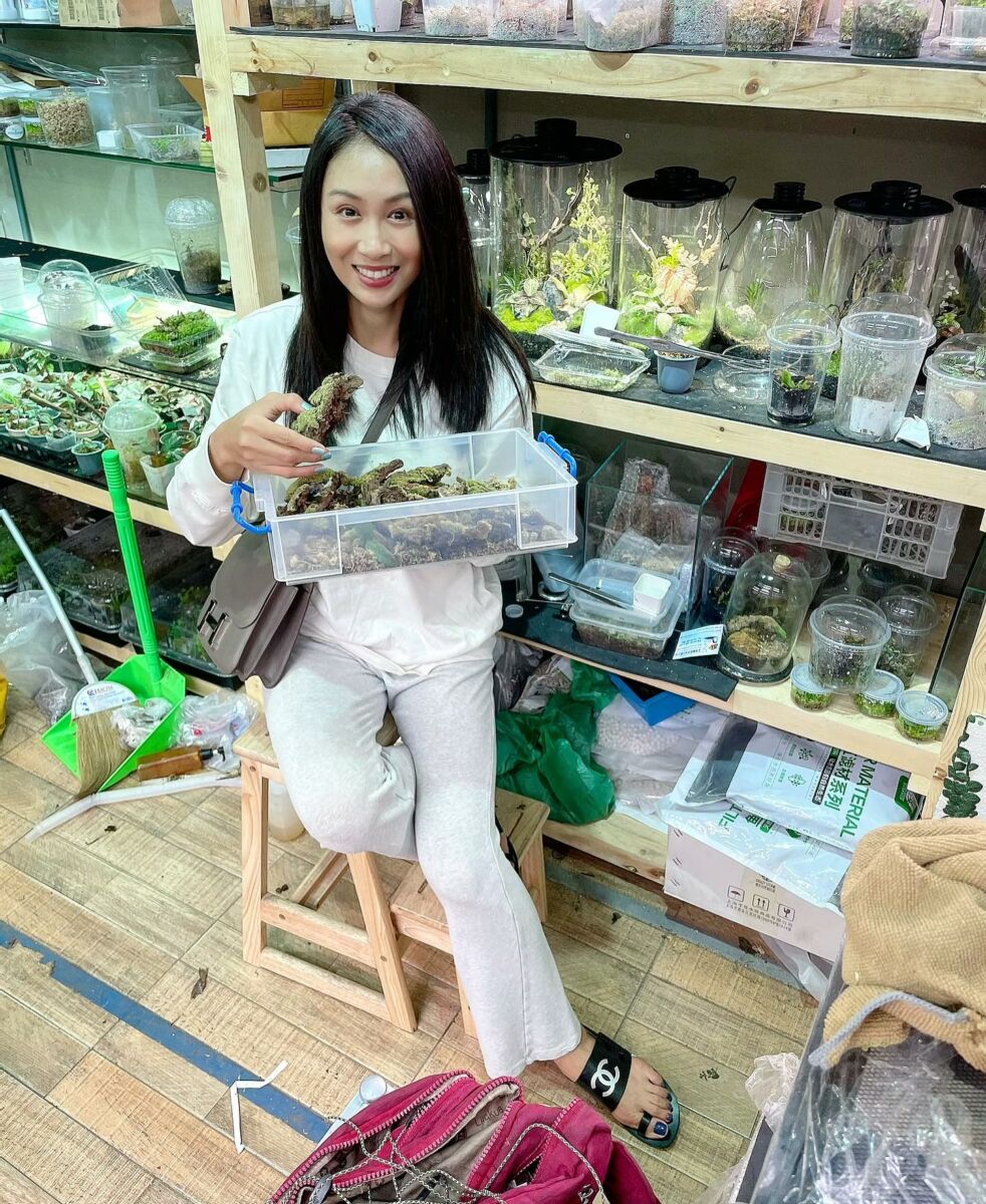 แซนวิศาพัชคือใคร