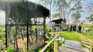 สวนสัตว์ Mini Zoo ธัญบุรี