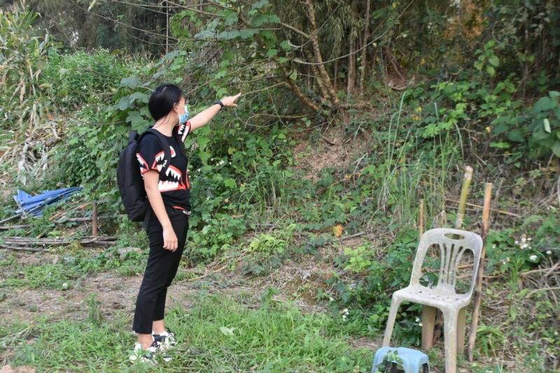งานสแกมเมอร์