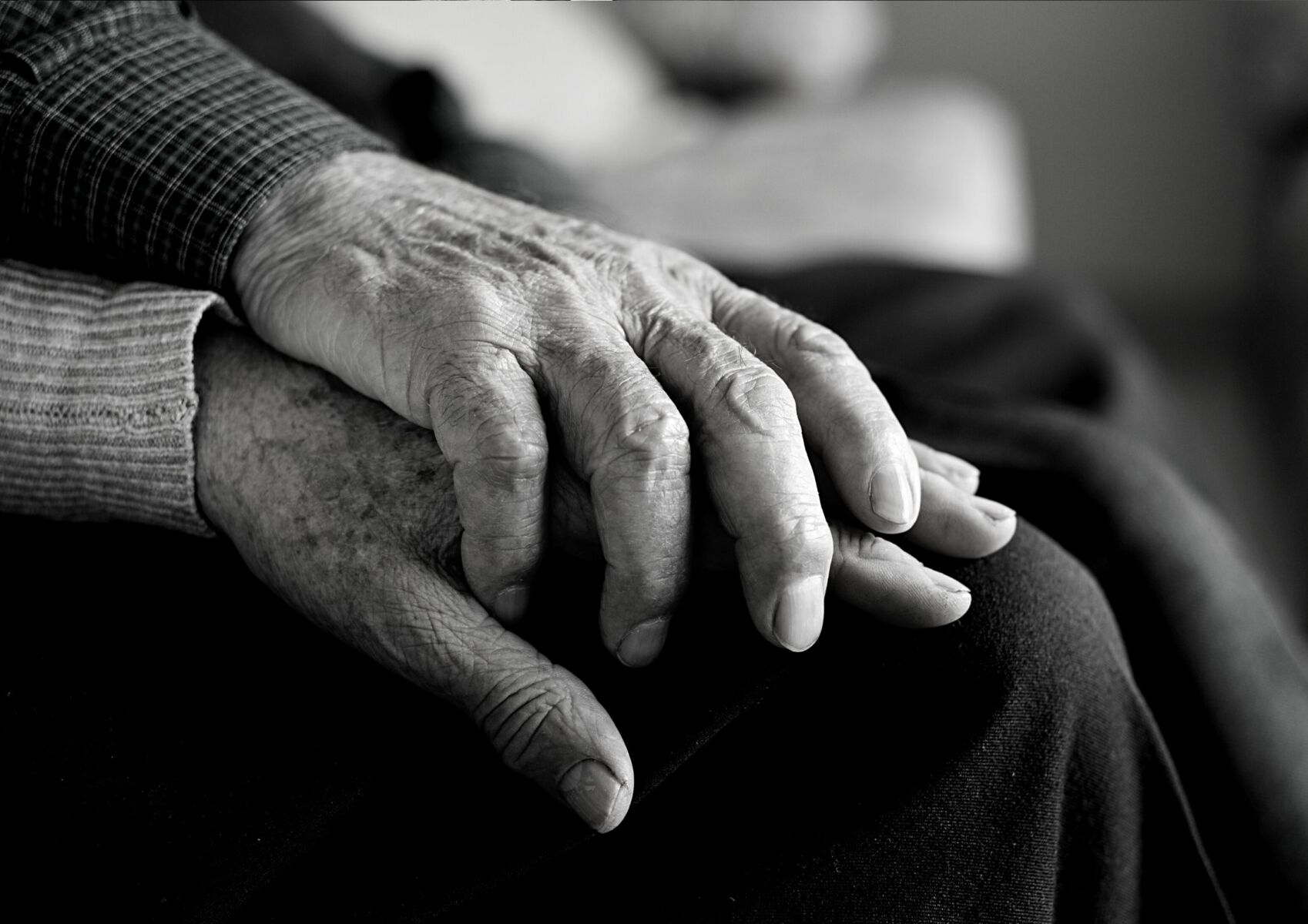 ฝันเห็นญาติผู้ใหญ่ที่เสียชีวิตไปแล้วเลขเด็ด