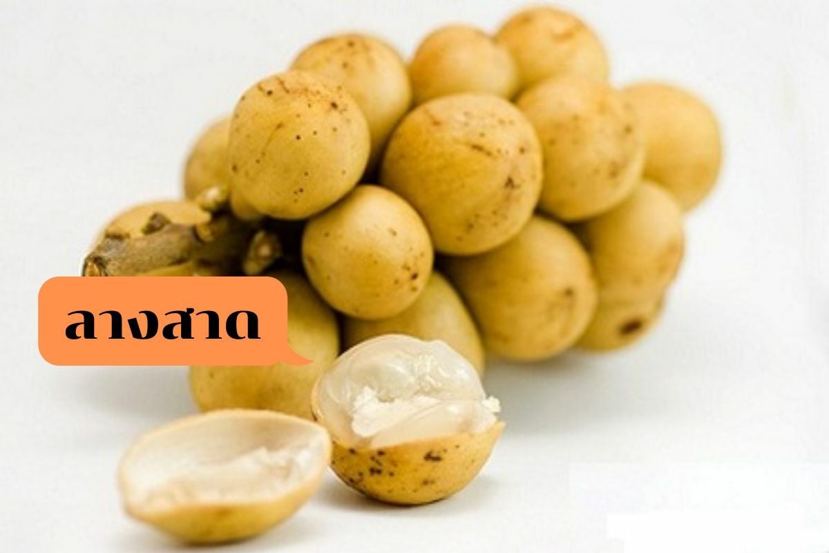 ลองกอง ลางสาด ต่างกันยังไง