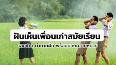 ฝันเห็นเพื่อนเก่าสมัยเรียน