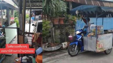 รถขายบาร์บีคิว