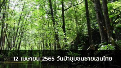 12 เมษายน 2565 วันป่าชุมชนชายเลนไทย 2022