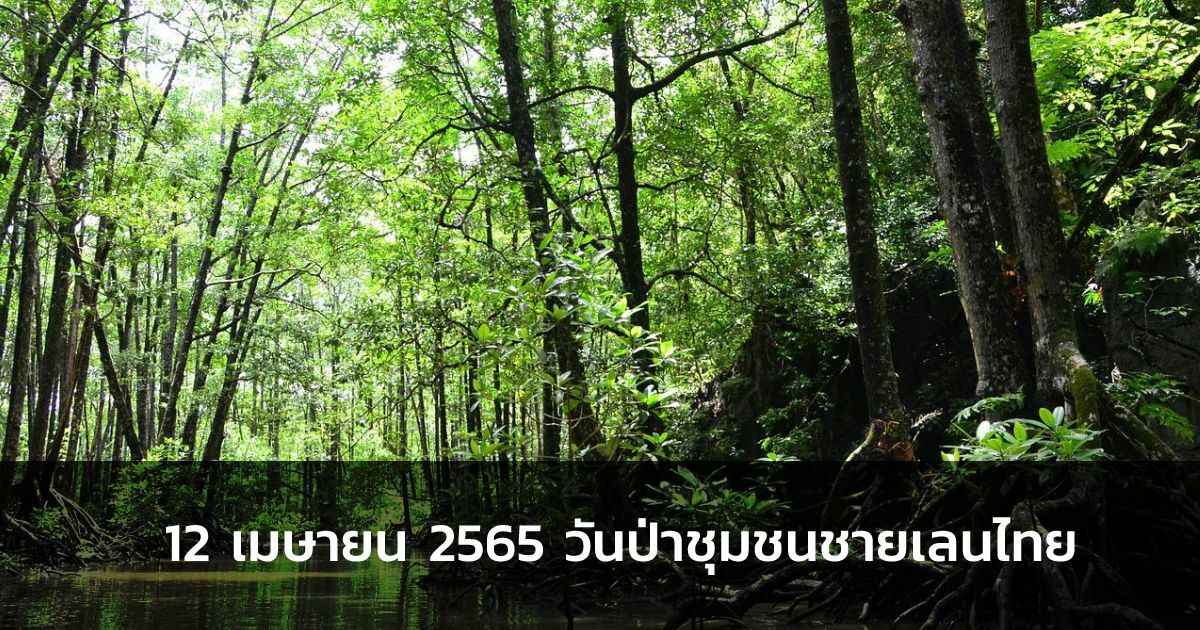 12 เมษายน 2565 วันป่าชุมชนชายเลนไทย 2022