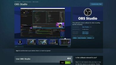 OBS Steam