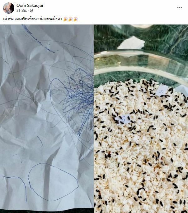 อ๋อม สกาวใจ เผยเลขเด็ด น้องจอมทัพ-น้องกระดิ่ง