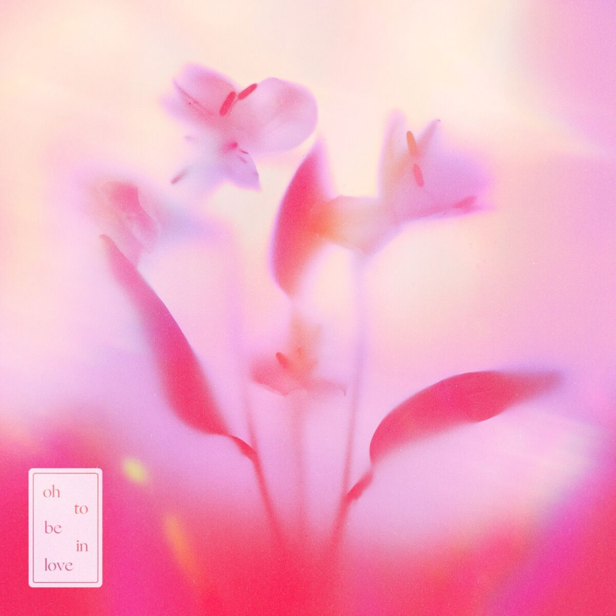 Stephanie Poetri Bad Haircut song