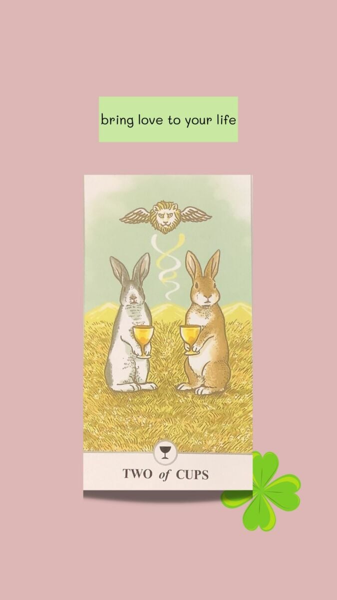 วอลเปเปอร์เสริมดวงความรัก 2022 ไพ่ คนโสด